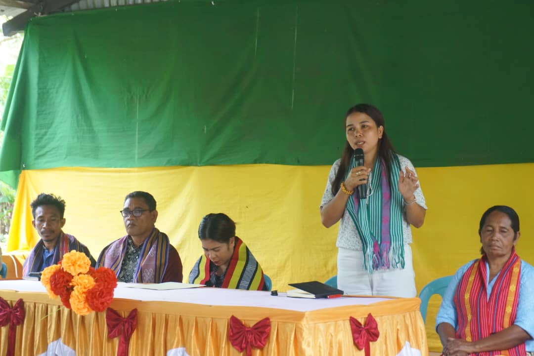 ROMANSA Sai Esperansa Foun ba Sustentabilidade Ekonomia Rural